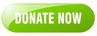 donate now