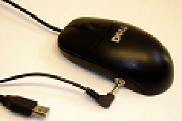 switch adapted mouse